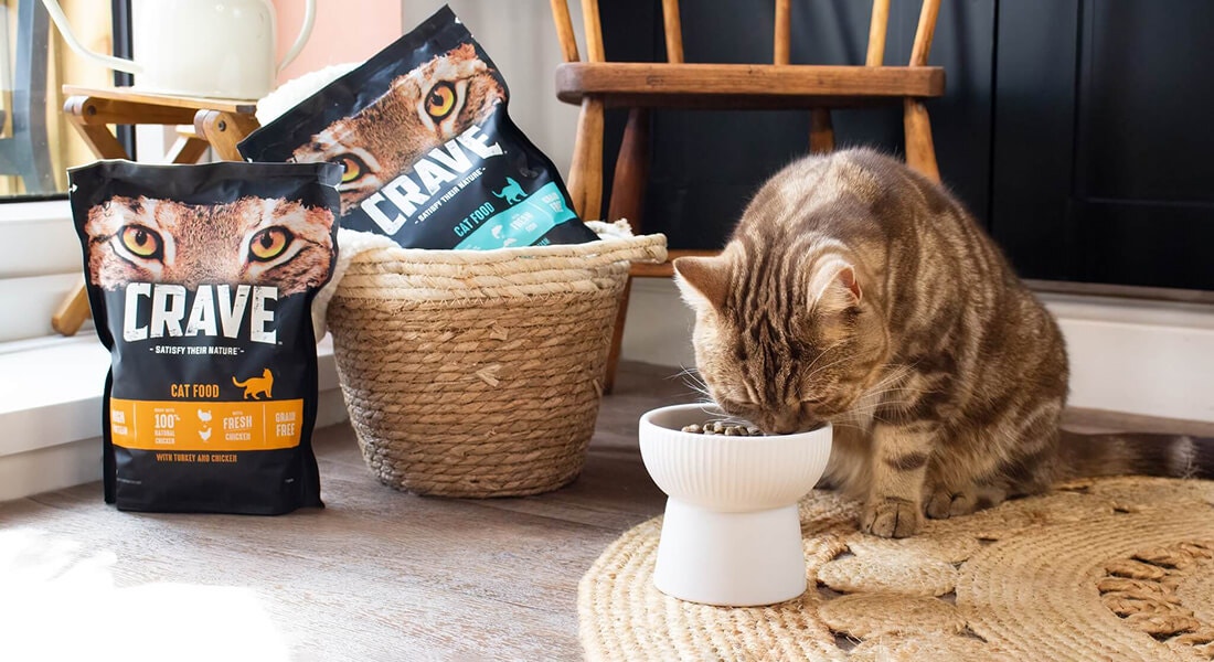 katzen trockenfutter