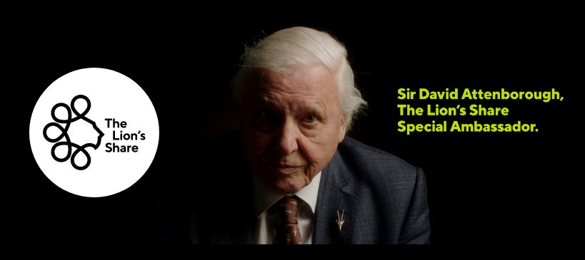 über the lions share